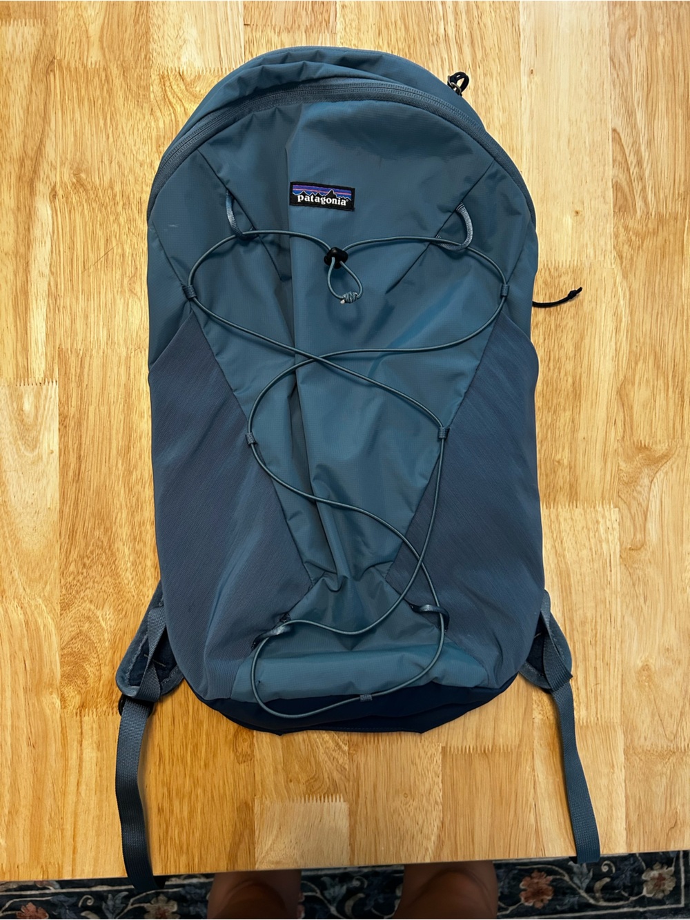 Patagonia Terravia 14L w Raincover